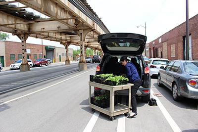 Farm To Table By Way Of The Food Pantry Heartland Alliance